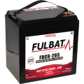 Fulbat FDC6-265 6V AGM deep cycle battery