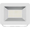 LED Outdoor Floodlight, 50 W