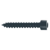 Screws (cylinder head) 5 x 30 mm