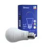 Sonoff smart RGB and W / WW LED lamp 9W