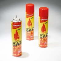 GAS