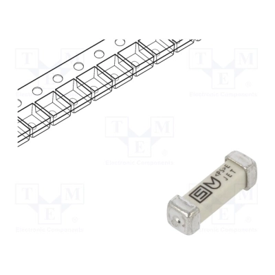 Fuse: fuse; time-lag; 1A; 250VAC; 125VDC; SMD; ceramic; 3x10