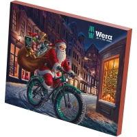 WERA-136607