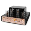 TA60 stereo hybrid tube amplifier 2*25W RMS RCA/BT/USB 230VAC 24VDC black