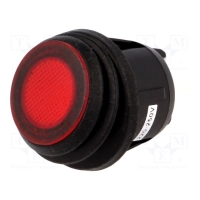 ROCKER; DPST; Pos: 2; ON-OFF; 20A/12VDC; red; IP65; LED; R13-244-AC, R13-244B8-02-BBR