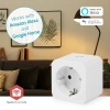 SmartLife nutipistik, Zigbee 3.0, 3680W, IP21, võimsuse mõõtja, Android / IOS