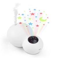 Humidifier and projector white