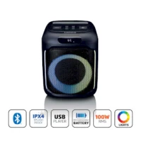 Compact IPX4 Bluetooth® Party Speaker with wireless microphone