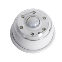 Liikumisanduriga LED-lamp ZLL404