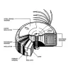 Toroid-trafo: 120VA 2 x 30V / 2 x 2.00A