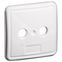 2-hole Cover Plate for Antenna Wall Sockets